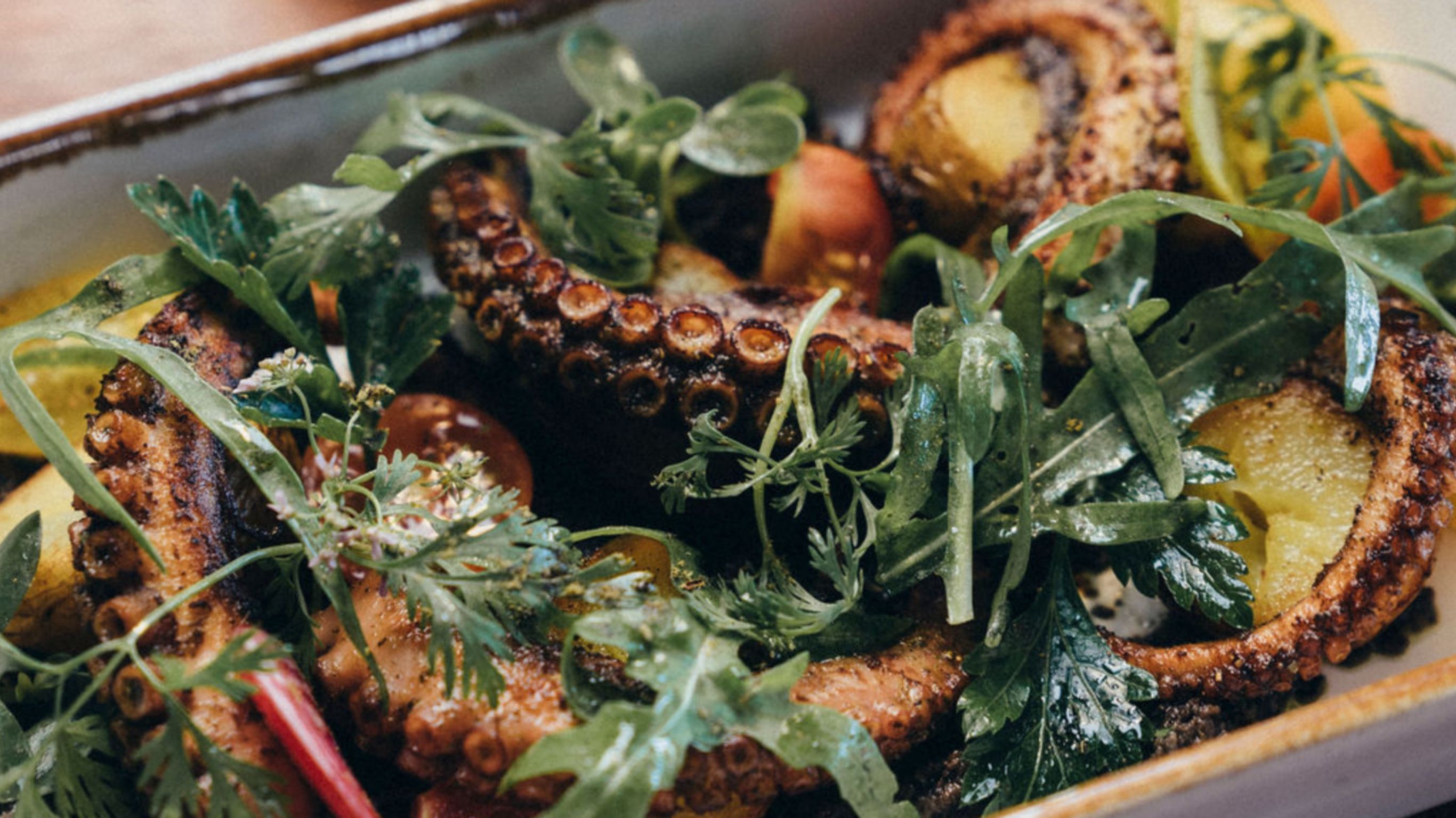 Platillo de pulpo de Zapote Bar